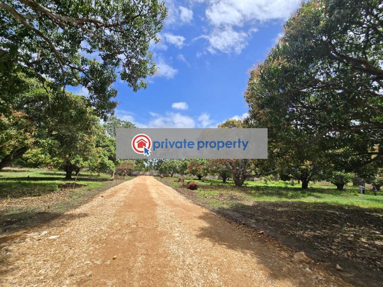 Land For Sale &nbsp;kikambala Along Mombasa Malindi Highway Mtwapa Kilifi - 6