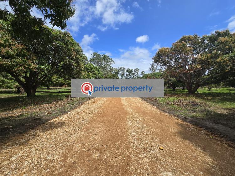 Land For Sale &nbsp;kikambala Along Mombasa Malindi Highway Mtwapa Kilifi - 18