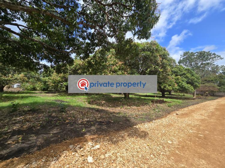 Land For Sale &nbsp;kikambala Along Mombasa Malindi Highway Mtwapa Kilifi - 4