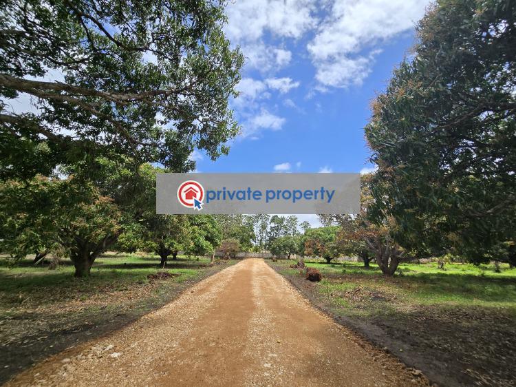 Land For Sale &nbsp;kikambala Along Mombasa Malindi Highway Mtwapa Kilifi - 11