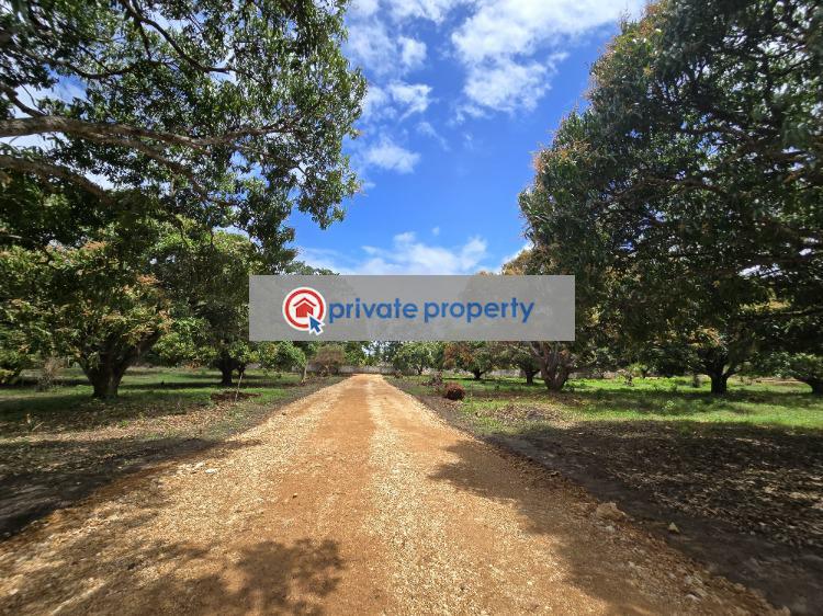 Land For Sale &nbsp;kikambala Along Mombasa Malindi Highway Mtwapa Kilifi - 10