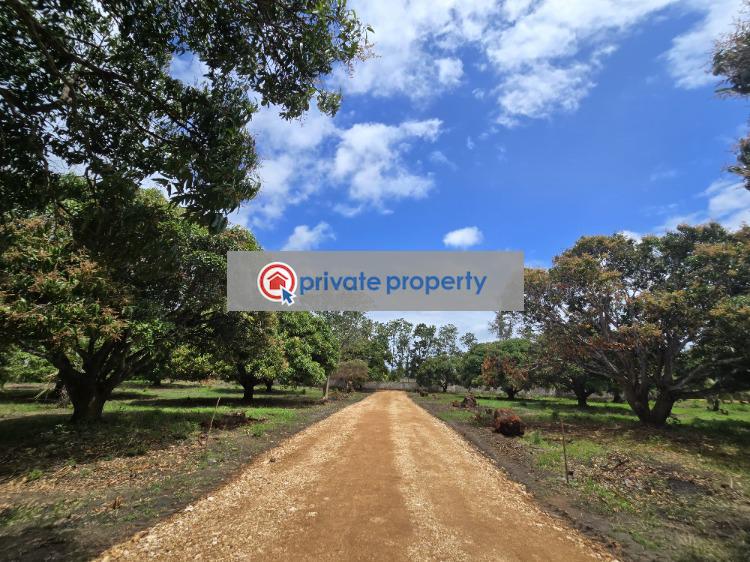 Land For Sale &nbsp;kikambala Along Mombasa Malindi Highway Mtwapa Kilifi - 7