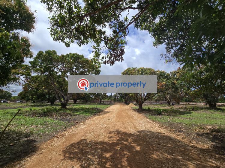 Land For Sale &nbsp;kikambala Along Mombasa Malindi Highway Mtwapa Kilifi - 15
