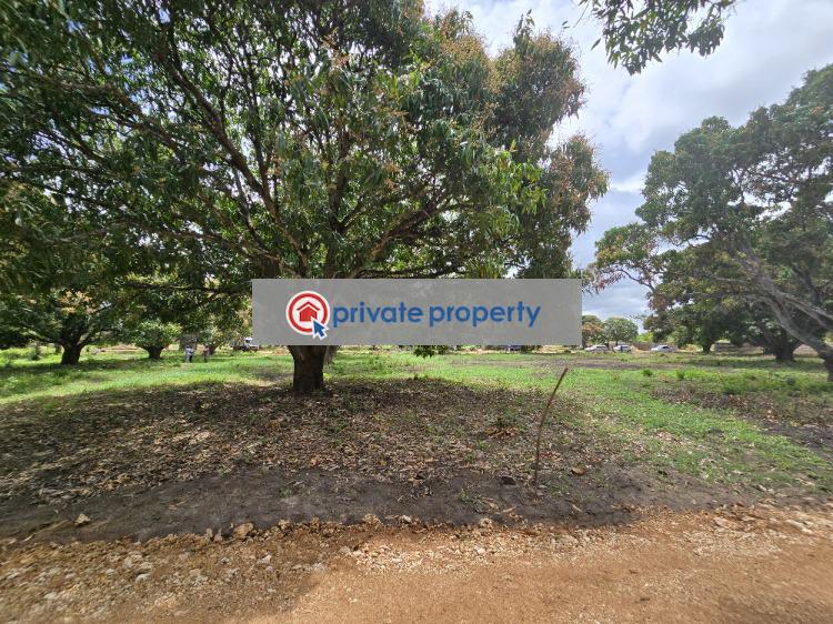 Land For Sale &nbsp;kikambala Along Mombasa Malindi Highway Mtwapa Kilifi - 14