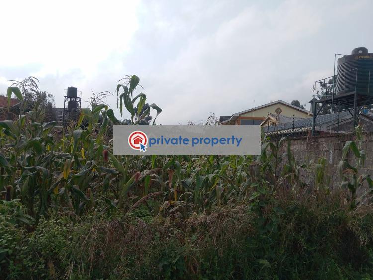 Residential Land For Sale &nbsp;nderi Kikuyu Kiambu - 13