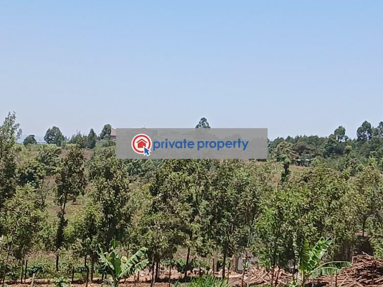 Residential Land For Sale &nbsp;kamangu Kikuyu Kiambu - 3