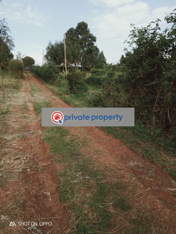 Residential Land For Sale &nbsp;gikambura Kikuyu Kiambu - 3