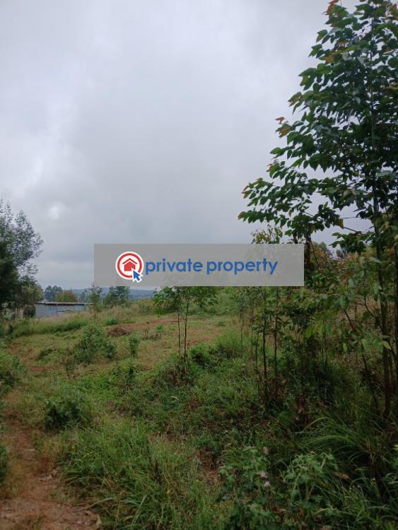 Residential Land For Sale &nbsp;gikambura Kikuyu Kiambu - 7
