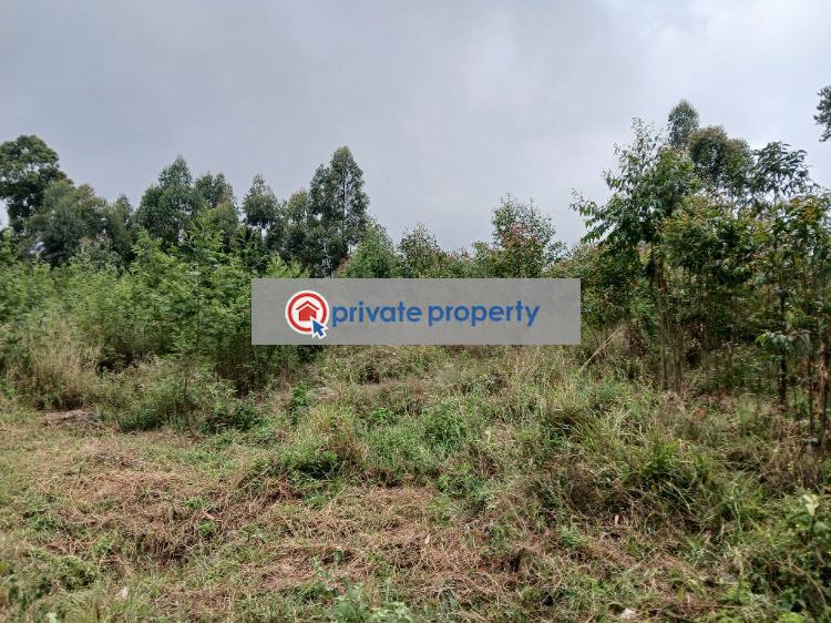 Residential Land For Sale &nbsp;gikambura Kikuyu Kiambu - 8