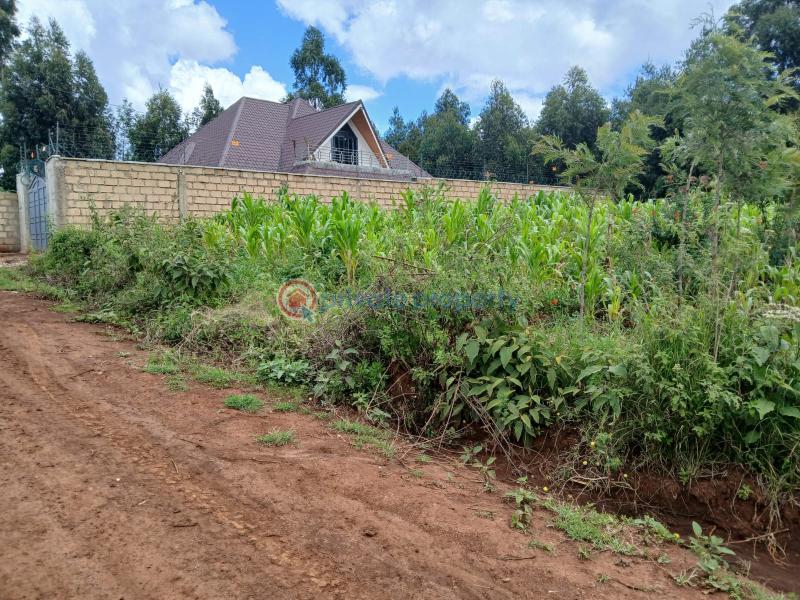 Residential Land For Sale Kamangu Kikuyu Kiambu - 4