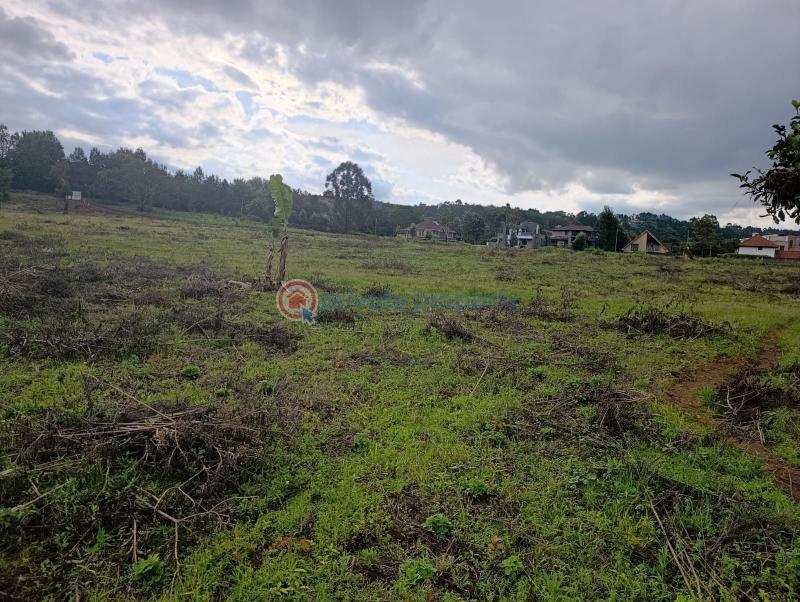 Land For Sale Kerarapon. Ngong Kajiado - 2