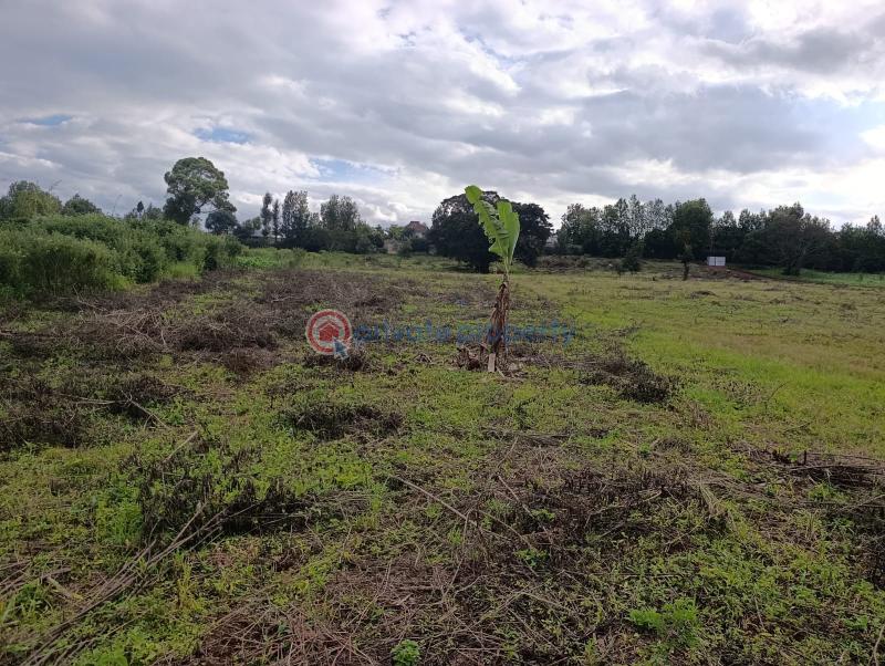 Land For Sale Kerarapon. Ngong Kajiado - 0