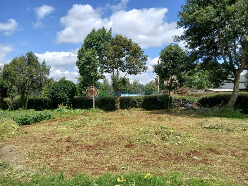 Land For Sale Gikambura Kikuyu Kiambu - 7