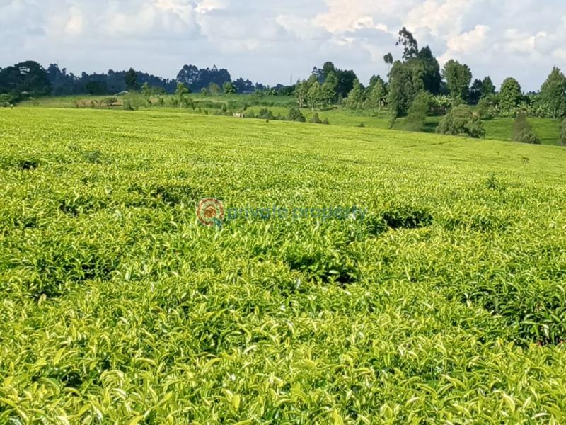 Land For Sale Cianda, Kiambu Githiga (Githunguri) Kiambu - 4