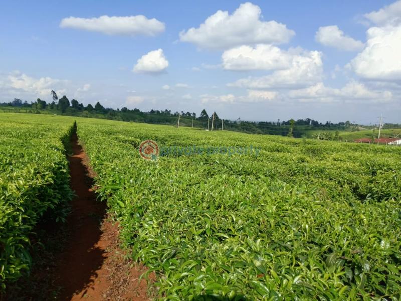 Land For Sale Cianda, Kiambu Githiga (Githunguri) Kiambu - 3