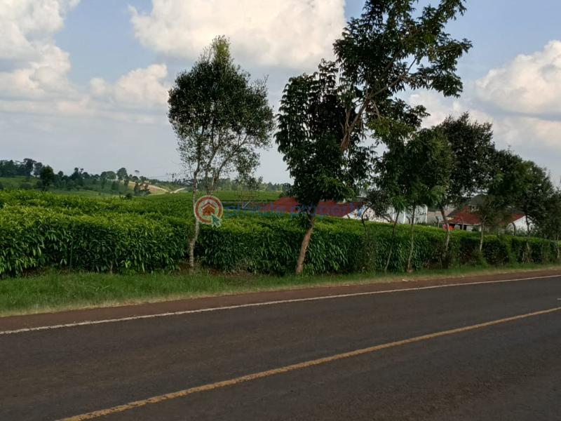 Land For Sale Cianda, Kiambu Githiga (Githunguri) Kiambu - 5
