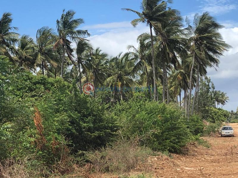 Land For Sale Kibabamshe Jacaranda Beach. Watamu Kilifi - 9