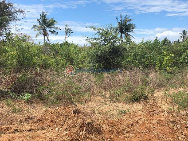 Land For Sale Kibabamshe Jacaranda Beach. Watamu Kilifi - 13