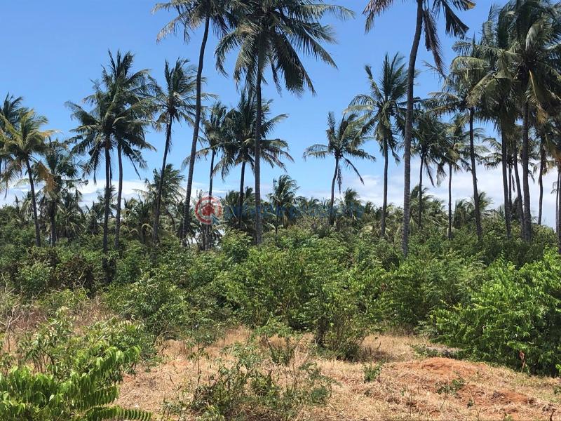 Land For Sale Kibabamshe Jacaranda Beach. Watamu Kilifi - 4