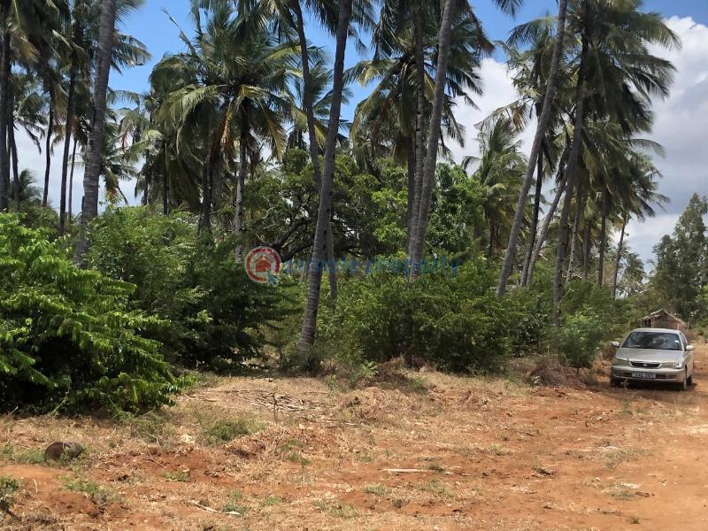 Land For Sale Kibabamshe Jacaranda Beach. Watamu Kilifi - 2