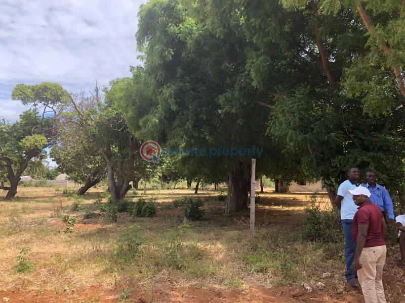 Land For Sale Kibabamshe Jacaranda Beach. Watamu Kilifi - 6