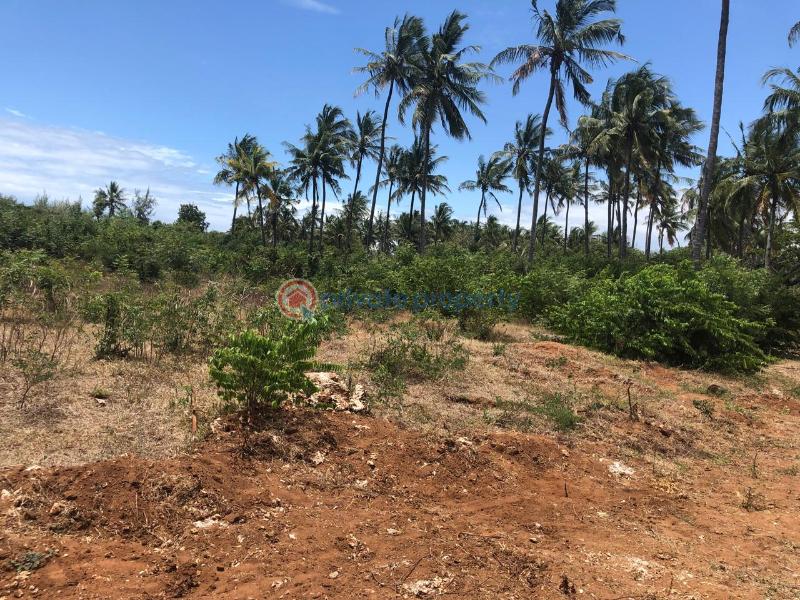 Land For Sale Kibabamshe Jacaranda Beach. Watamu Kilifi - 5