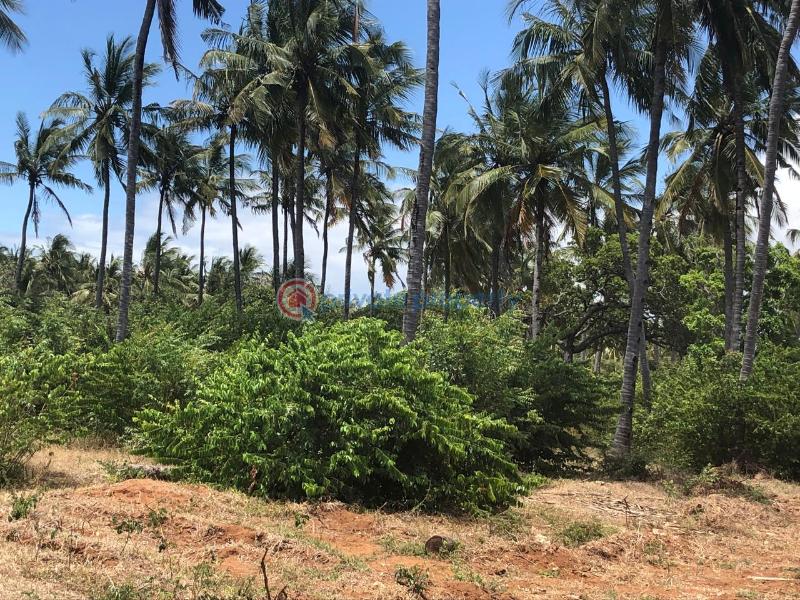 Land For Sale Kibabamshe Jacaranda Beach. Watamu Kilifi - 3