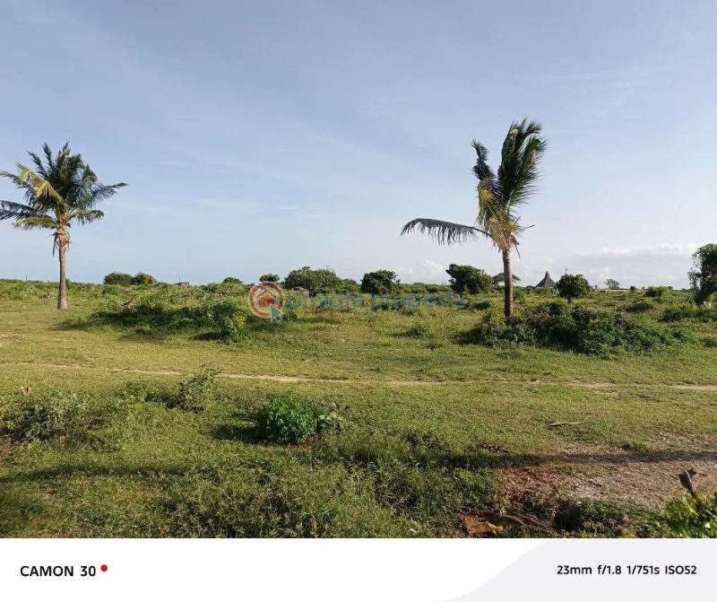 Land For Sale Malindi, Kivulini Area Malindi. Malindi Town Kilifi - 3