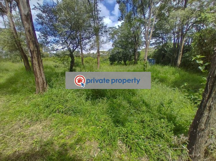 Land For Sale &nbsp;karen Hardy Karen Nairobi - 3