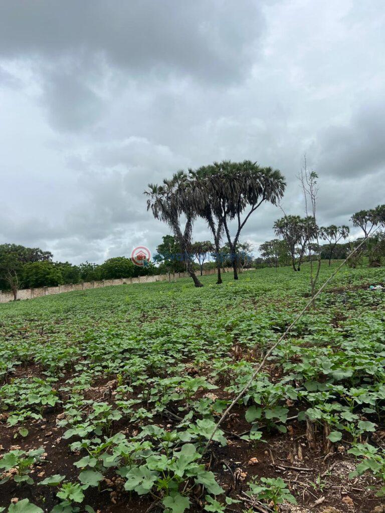 Land For Sale Diani Ukunda Kwale - 0