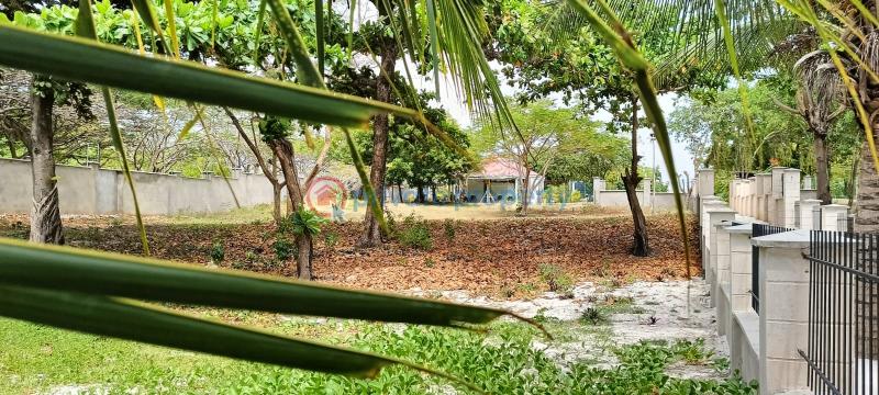 Residential Land For Sale Diani Beach Road Ukunda Kwale - 4