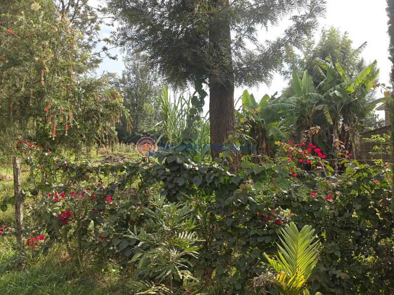 Residential Land For Sale Prime &frac12; Acre Land For Sale – Garden Estate Garden Estate Nairobi Central  - 4