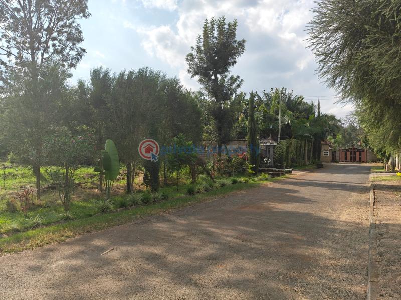 Residential Land For Sale Prime &frac12; Acre Land For Sale – Garden Estate Garden Estate Nairobi Central  - 3