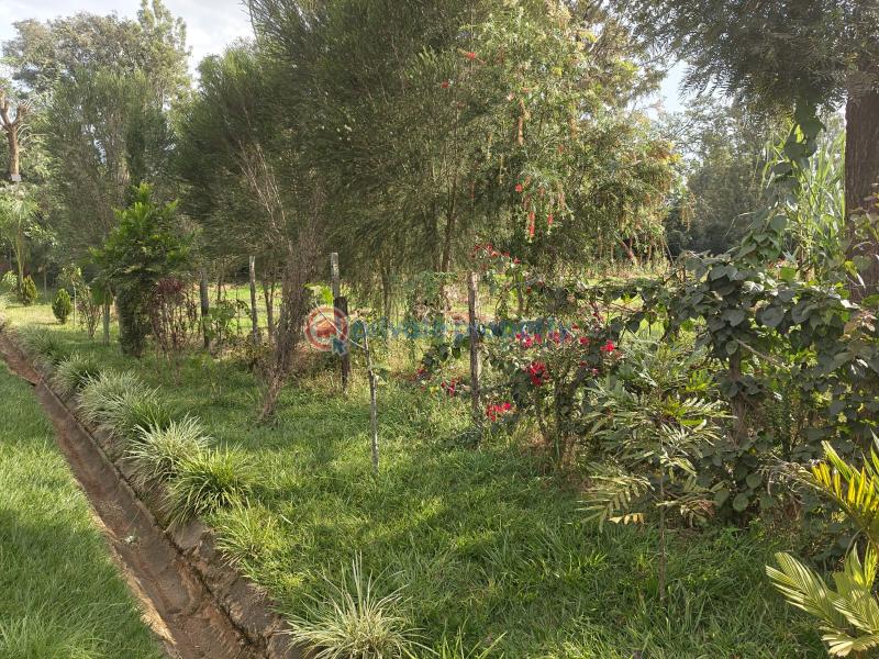 Residential Land For Sale Prime &frac12; Acre Land For Sale – Garden Estate Garden Estate Nairobi Central  - 6