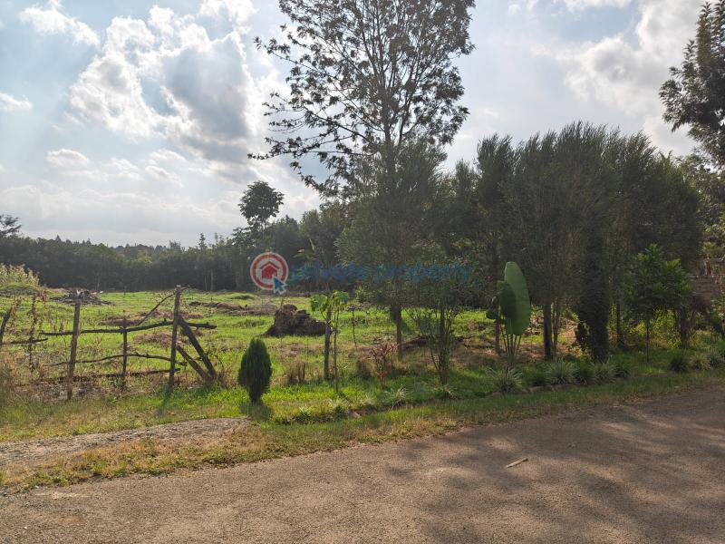 Residential Land For Sale Prime &frac12; Acre Land For Sale – Garden Estate Garden Estate Nairobi Central  - 0