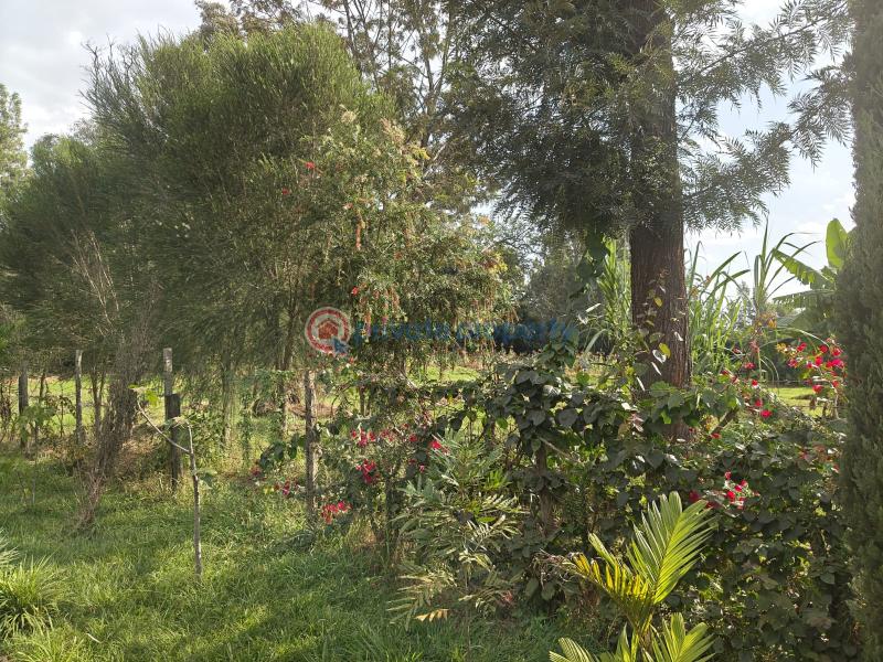 Residential Land For Sale Prime &frac12; Acre Land For Sale – Garden Estate Garden Estate Nairobi Central  - 2