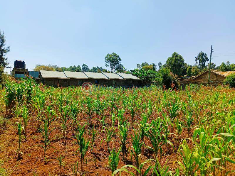 Residential Land For Sale Musa Gitau Gikambura Kikuyu Kiambu - 3