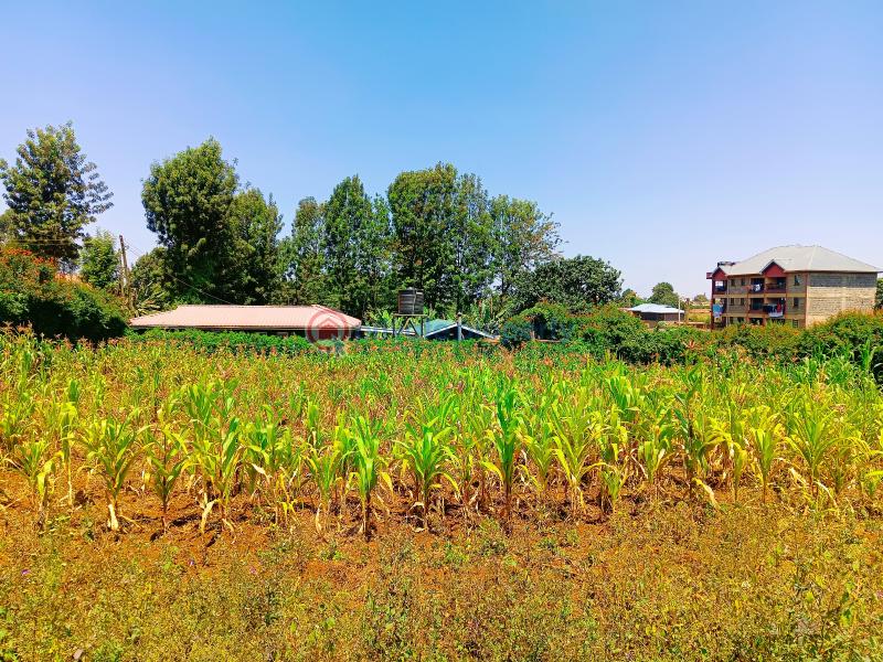 Residential Land For Sale Musa Gitau Gikambura Kikuyu Kiambu - 0