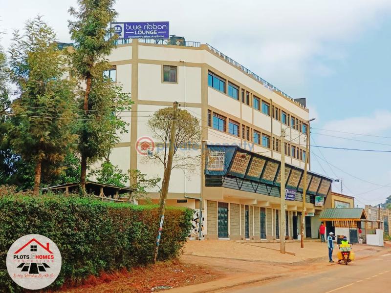 Residential Land For Sale Musa Gitau Gikambura Kikuyu Kiambu - 14