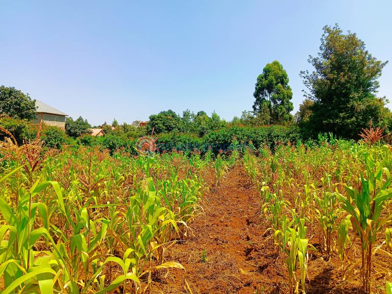 Residential Land For Sale Musa Gitau Gikambura Kikuyu Kiambu - 7