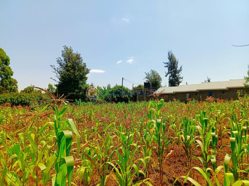 Residential Land For Sale Musa Gitau Gikambura Kikuyu Kiambu - 4