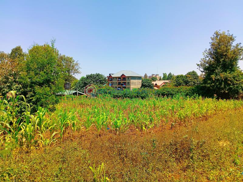 Residential Land For Sale Musa Gitau Gikambura Kikuyu Kiambu - 2
