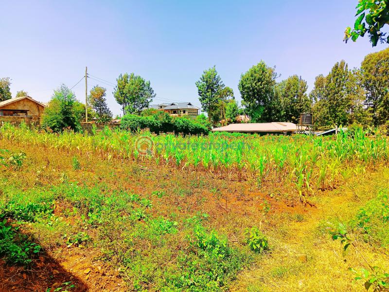 Residential Land For Sale Musa Gitau Gikambura Kikuyu Kiambu - 1