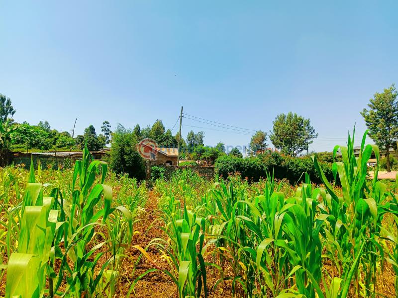Residential Land For Sale Musa Gitau Gikambura Kikuyu Kiambu - 6