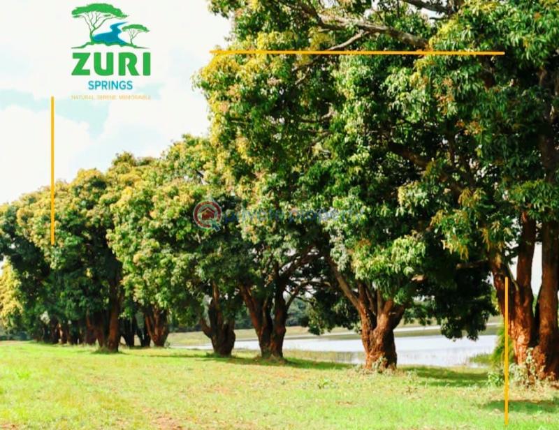 Residential Land For Sale Zuri Springs Estate Juja. Kiambu - 33
