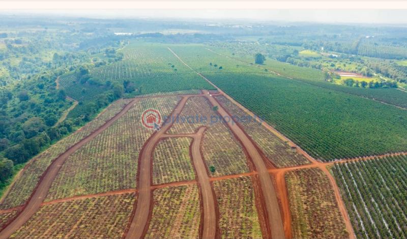 Residential Land For Sale Zuri Springs Estate Juja. Kiambu - 30