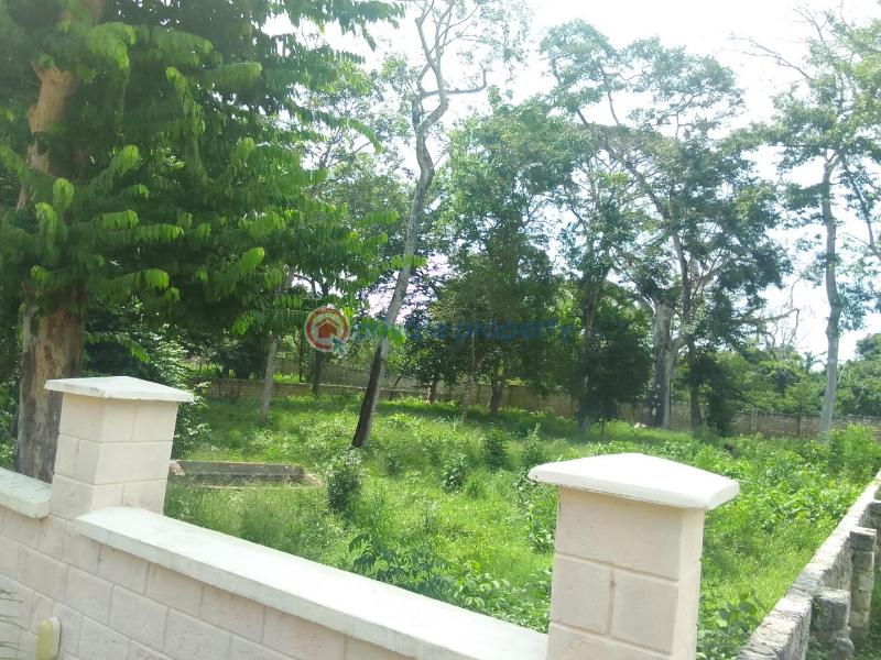 Residential Land For Sale Along Diani Beach Road Diani Beach. Ukunda Kwale - 3