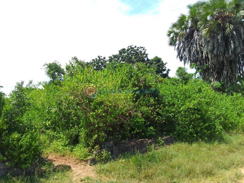 Residential Land For Sale Off Neptune Beach Resort Diani Beach Ukunda Kwale - 2