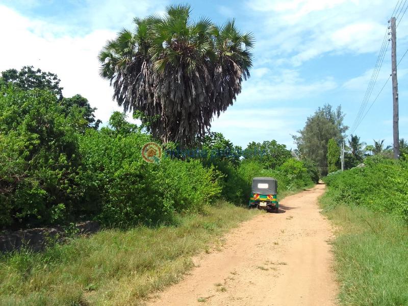 Residential Land For Sale Off Neptune Beach Resort Diani Beach Ukunda Kwale - 1