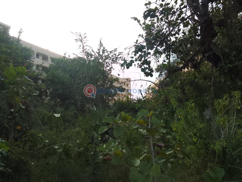 Residential Land For Sale Near Braeburn International School. pastor Lai Road Bamburi Mombasa - 3